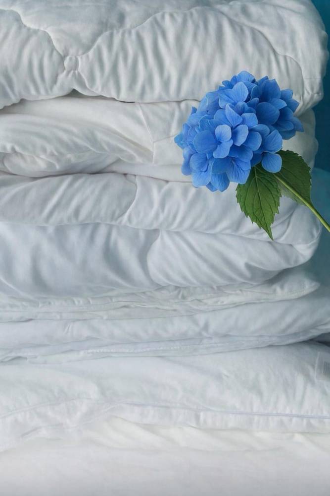 Frische gefaltete Bettdecken mit blauer Blüte